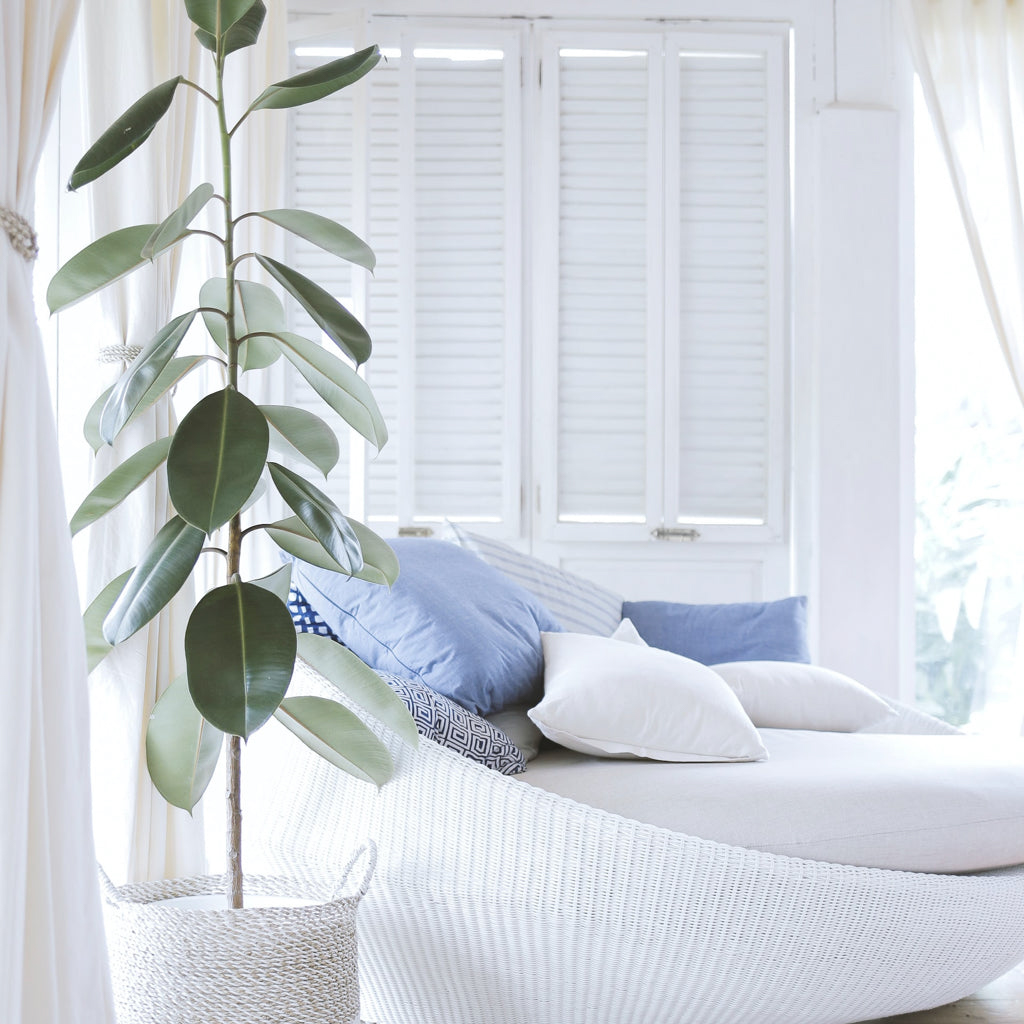 Lampadario in: Een Schitterende Verlichtingsoptie voor Elk Interieur!